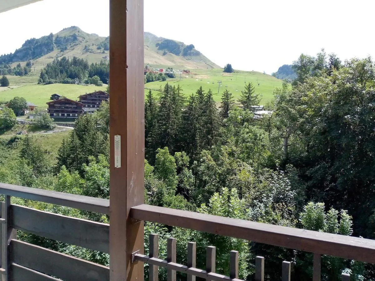 Lägenhet Appartement Cosy Au Chinaillon, Proche Commerces Et Pistes, 4 Pers, Animaux Admis. - Fr-1-467-69 Le Grand-Bornand Frankrike